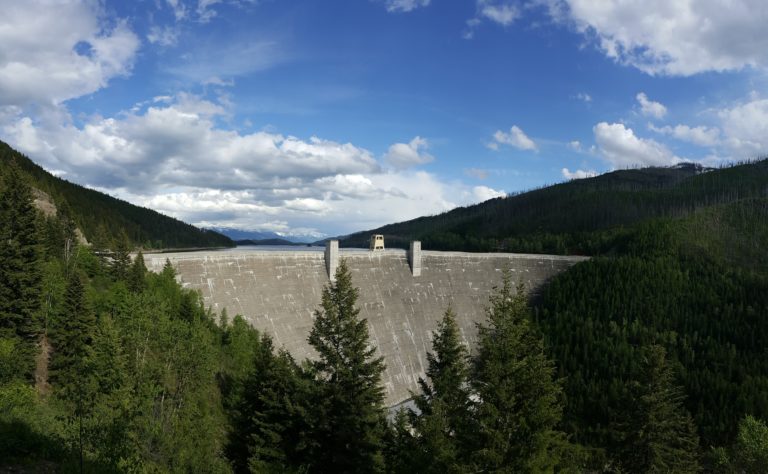 face of the Hungry Horse Dam with foreground of forest